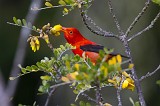 IMG_8826c