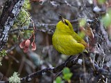 IMG_8854c