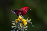 IMG_8905c