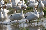 IMG_1961