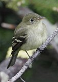 IMG_4484c